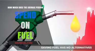 Fuel Expenses: Average Person's Spending