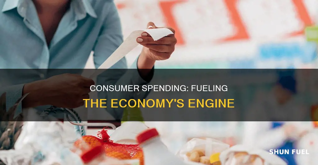 how much does the consumer fuel the economy
