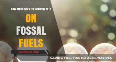 Fossil Fuels: Our Country's Dependence and Future Challenges