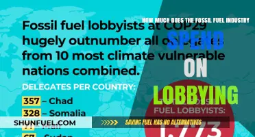 The Fossil Fuel Industry's Lobbying: Spending Millions to Influence
