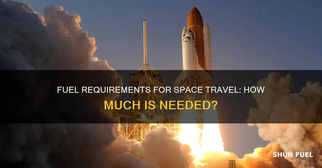 how much does the fuel spaceship needs