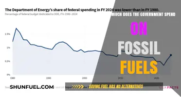 The Government's Spending on Fossil Fuels: A Costly Affair