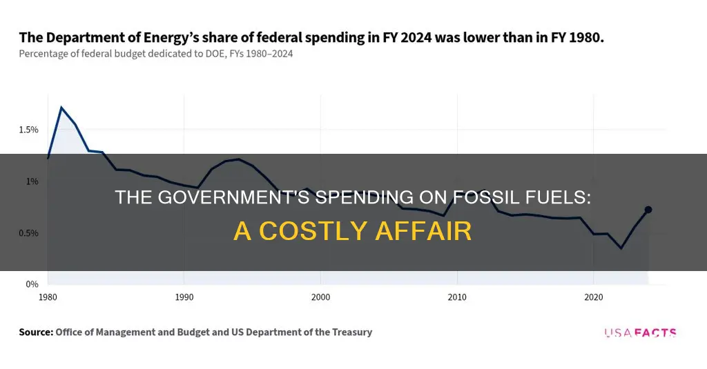 how much does the government spend on fossil fuels