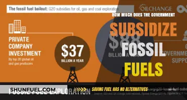 The Government's Fossil Fuel Subsidies: A Costly Affair