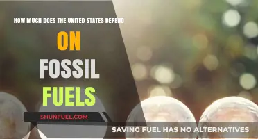 America's Fossil Fuel Dependence: How Much is Too Much?