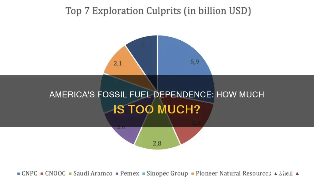 how much does the united states depend on fossil fuels