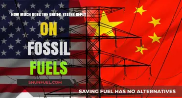 America's Fossil Fuel Dependence: Understanding the Energy Crisis