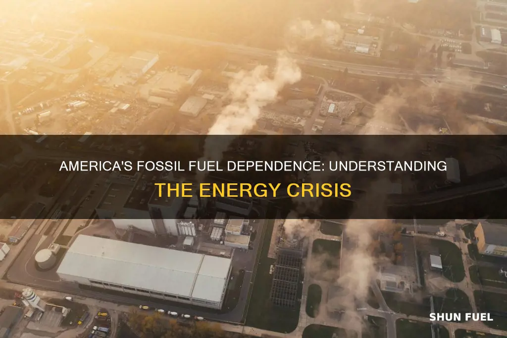 how much does the united states reply on fossil fuels