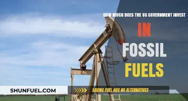 US Fossil Fuel Funding: A Deep Dive