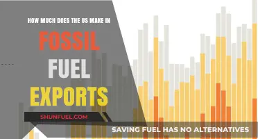 America's Fossil Fuel Exports: A Revenue Overview