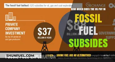 The US Fossil Fuel Subsidy: A Costly Affair