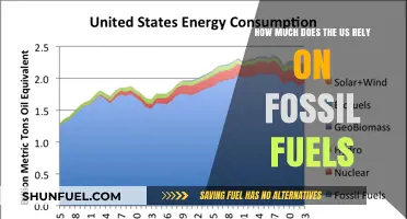 America's Energy Dependence: The Persistent Role of Fossil Fuels