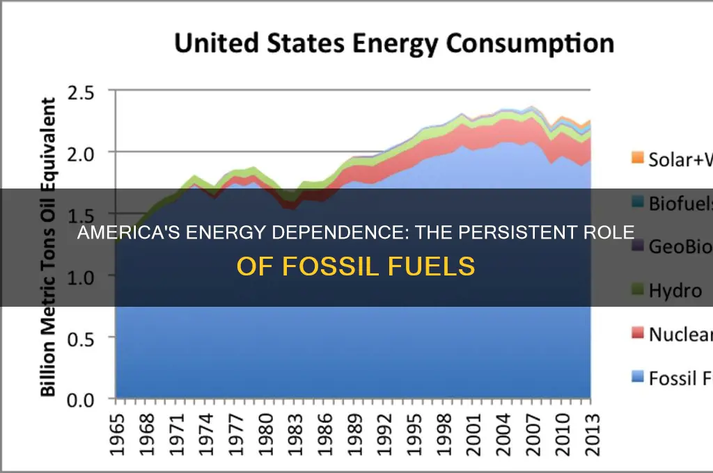 how much does the us rely on fossil fuels