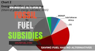 The US Fossil Fuel Subsidy Billions: A Costly Addiction