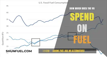 Fuel Expenditure in the US: A Costly Affair