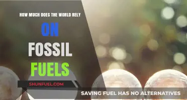 The World's Fossil Fuel Dependence: How Much is Too Much?