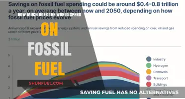 The World's Staggering Fossil Fuel Expenditure