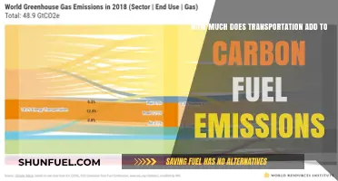 Transportation's Carbon Emissions: A Costly Impact