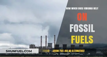 Virginia's Fossil Fuel Dependence: A Comprehensive Overview