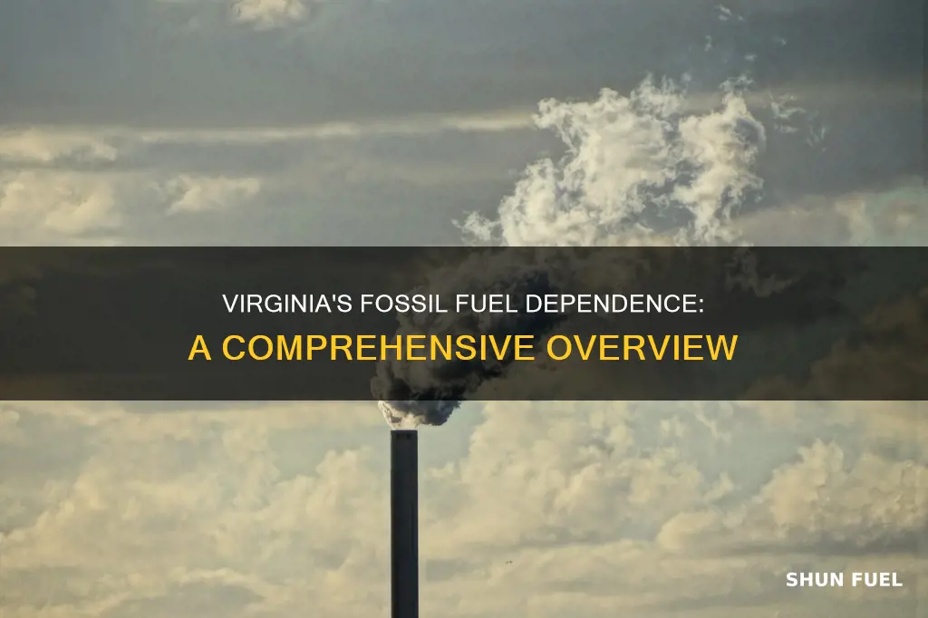 how much does virginia rely on fossil fuels