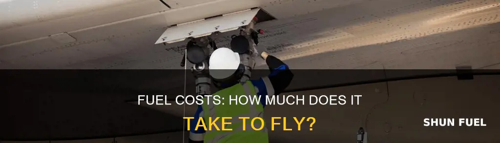 how much dors fuel cost for a plane