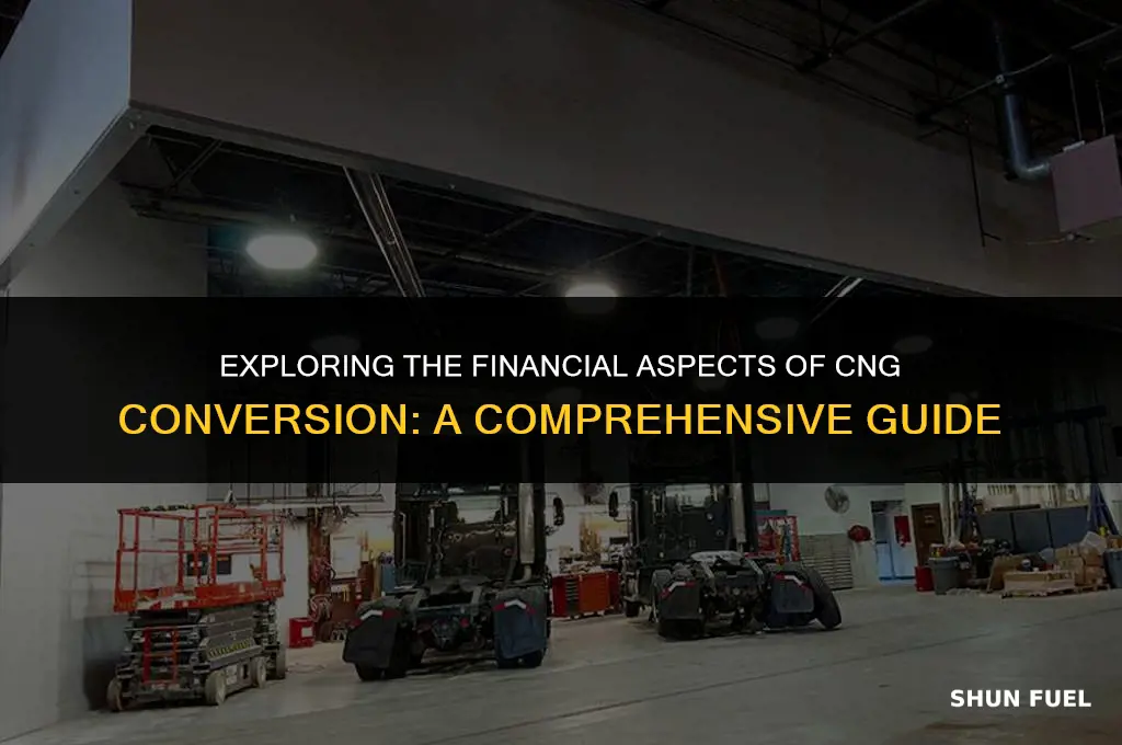 how much dows cng conversion cost