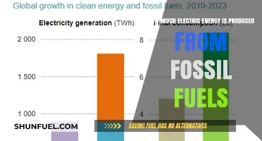 Electric Energy: Fossil Fuel Sources and Production Rates