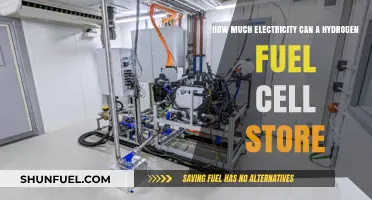 Unlocking Hydrogen Fuel Cell Energy Storage Potential