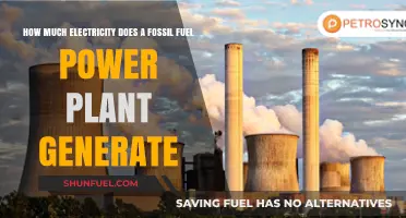Fossil Fuel Power Plants: Energy Generation Capacity Explained
