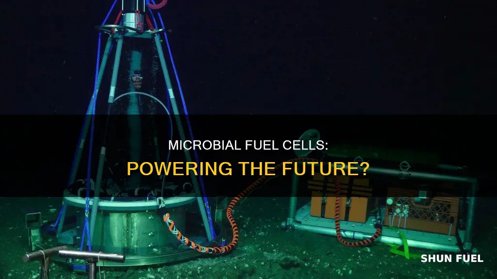 how much electricity does a microbial fuel cell produce