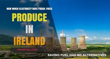 Fossil Fuels' Electricity Production in Ireland