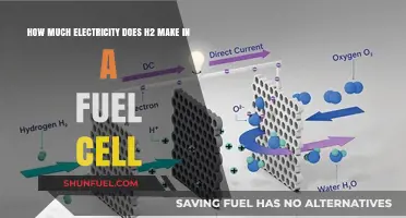 H2 Fuel Cells: Powering the Future?