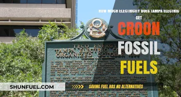 Tampa Electric's Fossil Fuel Electricity Sources