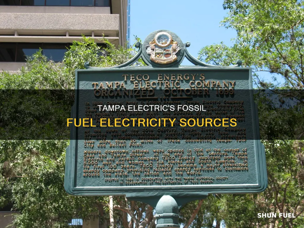how much electricity does tampa electric get croon fossil fuels
