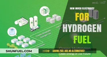 Hydrogen Fuel's Electricity Consumption: What's the Bottom Line?