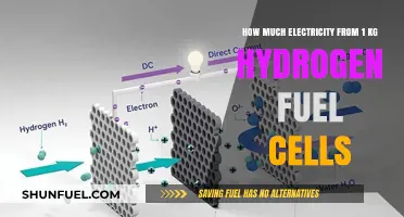 Unlocking Hydrogen's Power: 1kg of Fuel, Electricity Generated?