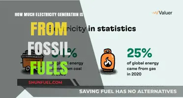 Fossil Fuels' Electricity Generation: A Global Concern