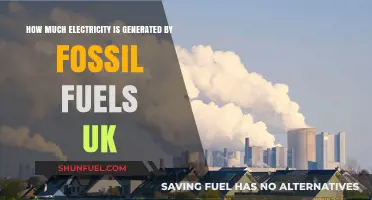 UK Fossil Fuel Electricity Generation: How Much and Why?