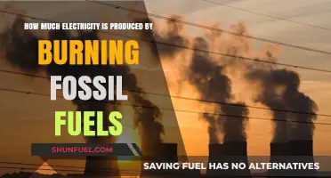 Fossil Fuel Electricity Generation: How Much Power?