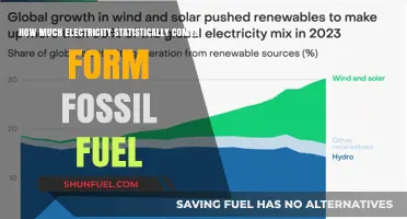 Fossil Fuels' Electricity Generation: A Statistical Overview