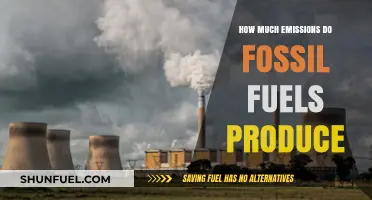 Fossil Fuels: A Major Source of Emissions?