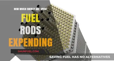 Spent Fuel Rods: Energy Expenditure and Implications