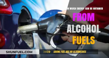 Alcohol Fuels: Energy Potential and Viability