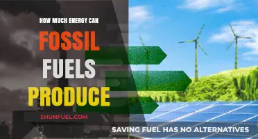 Unraveling Fossil Fuels' Energy Production Potential