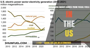 US Fossil Fuel Energy Sources: How Much and Why?