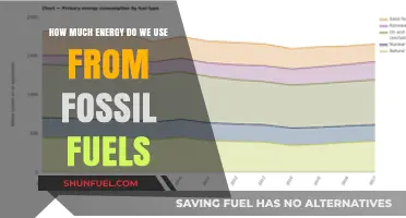 Our Fossil Fuel Energy Consumption: A Global Overview