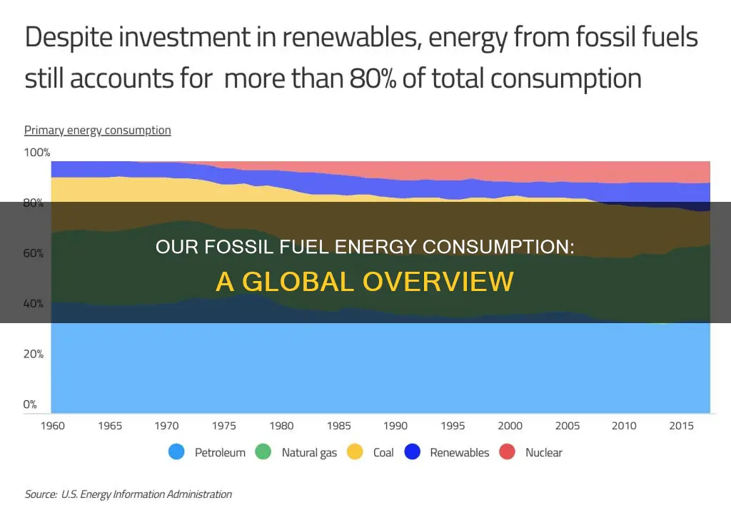 how much energy do we use from fossil fuels
