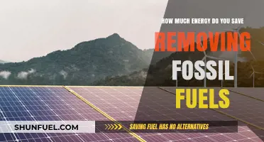 Green Energy Switch: Saving Power by Removing Fossil Fuels