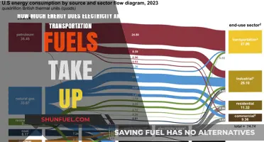 Energy Consumption: Powering Our World