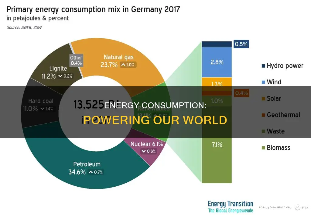 how much energy does electricity and transportation fuels take up